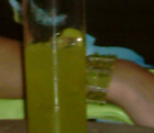 02p.jpg